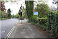 North Road approaching the Victoria Clock Tower