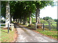 Tree-lined lane to South Downs