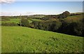 Wooded valley below Furslow Farm