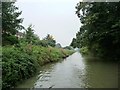 Kennet & Avon canal, between bridges 139 and 138