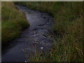 NC5522 : Feith a' Chuill flowing through its own grassy margins near Crask Inn, Sutherland by ian shiell