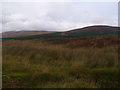 NC5522 : Blanket peat edge east of Feith a' Chuill near Crask Inn, Sutherland by ian shiell