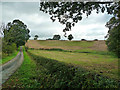 Farmland Near Stair