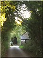 Lane at Tideford Cross