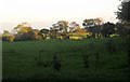 Field, Tideford Cross