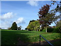 An autumnal recreation ground at West Meon