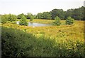 Lake near Landkey