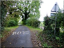 H4379 : Mellon Road, Castletown by Kenneth  Allen