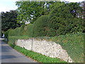 Subtle but distinctive topiary in Station Road