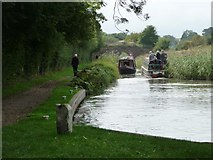 SU2763 : Kennet & Avon canal, narrowed by rushes by Christine Johnstone