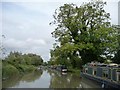 Moored narrowboats on south [towpath] bank