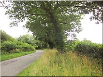 SS4508 : Lane from Sedgewell Cross by Derek Harper