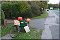 Pumpkin time: Laceby roundabout