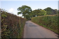 Mid Devon : Country Lane