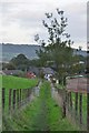 Mid Devon : Grassy Footpath