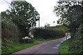 Mid Devon : Country Lane