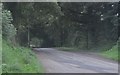 Mid Devon : Country Lane