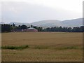 Stubble, Kilgraston