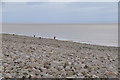 Minehead : Rocky Coastline