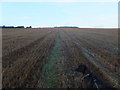 Stubble field, Parkside