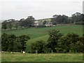 Looking across Lyham Dean towards South Lyham