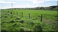 Grassland, Bogend