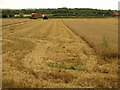 Harvesting near Frenchay