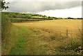 Field, Hillside Gardens