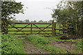 Field and footpath entrance