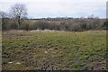 Farmland at Whitehook