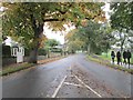 Old Park Road - viewed from Gledhow Lane