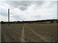 Arable land northwest of Franderground Farm