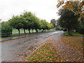 Driveway to Kerr Mackie Primary School - Gledhow Lane