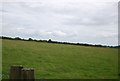 Grassland on the High Weald