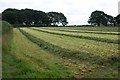 SM9427 : Hay crop turned and ready for baling by Simon Mortimer
