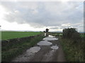 Thurgory Lane, Lepton