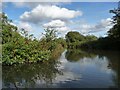 SU6670 : River Kennet / Kennet & Avon canal, east of bridge 17 by Christine Johnstone