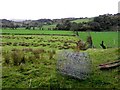 Dunbunrawer Townland