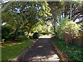 Footpath from Willowhale Avenue to Barrack Lane