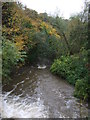 River Leven near Markinch