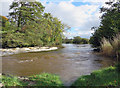 The mill dam: Newcastle Emlyn