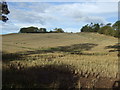 Farmland, Easter Friarton