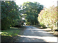 This way to Salhouse Barn