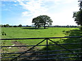 Footpath(s) entrance to Budworth Heath