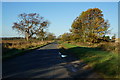 Station Road towards Lockington