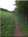 SX8059 : The Dart Valley Trail approaching Totnes by David Smith