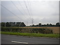 SK6745 : Farmland and pylons near Lowdham (1) by Richard Vince