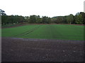 Farmland, Newport-on-Tay