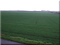 Crop field near Nether Kelly