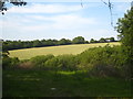 Small field at Trethake Farm